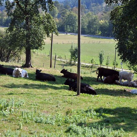 Mostheuriger Steyrdurchbruchalm Leonstein Dış mekan fotoğraf