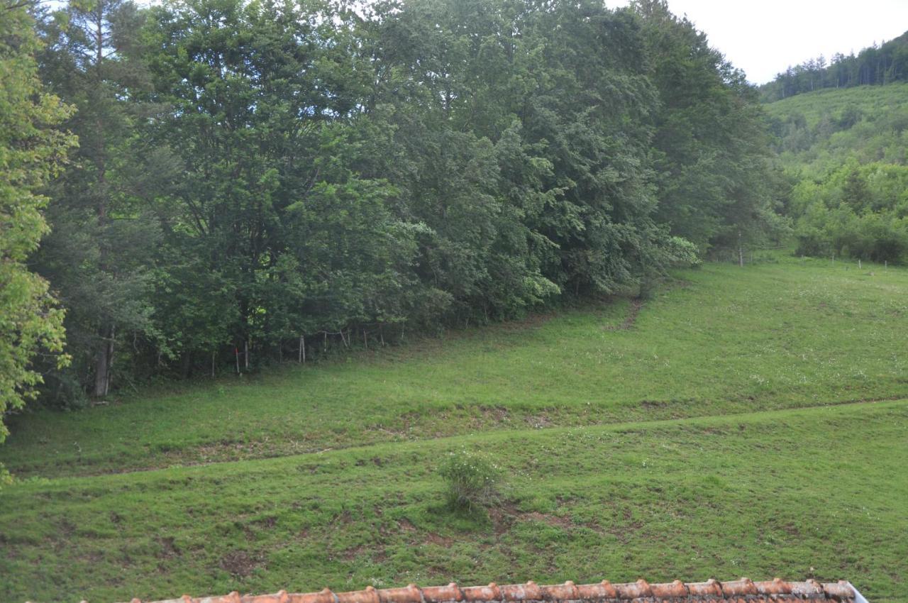 Mostheuriger Steyrdurchbruchalm Leonstein Dış mekan fotoğraf